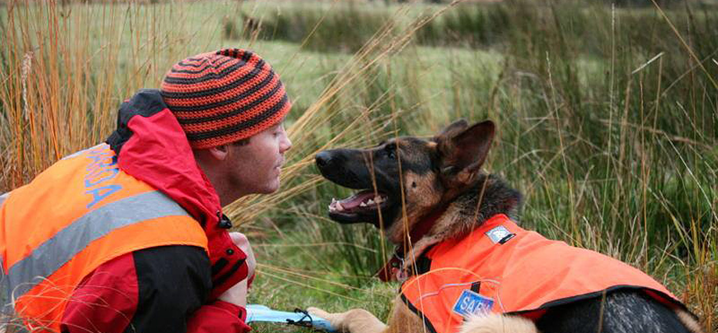 Sarda Ireland search dogs